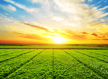 Agriculture Engineering